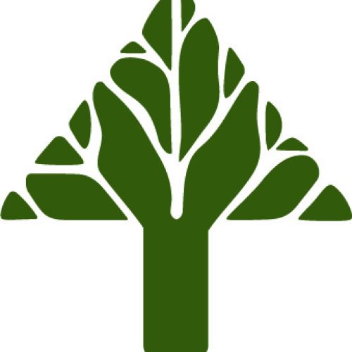 Ppmi Treeonlylogo Color
