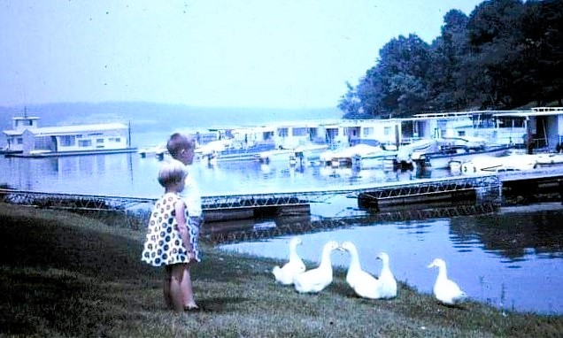 T.brown picwithgeese