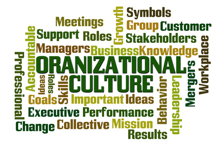 31704567 - organizational culture word cloud on white background